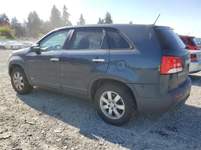 2011 KIA Sorento Base