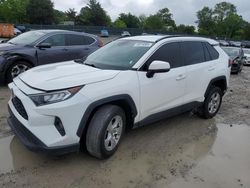 Toyota rav4 xle salvage cars for sale: 2021 Toyota Rav4 XLE