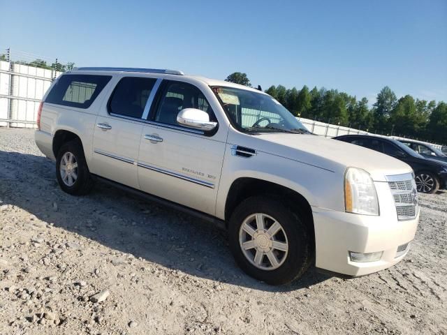 2010 Cadillac Escalade ESV Platinum