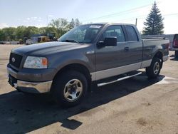 Salvage cars for sale at Ham Lake, MN auction: 2005 Ford F150