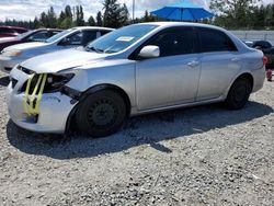 Salvage cars for sale from Copart Graham, WA: 2012 Toyota Corolla Base