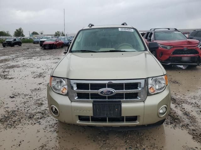 2012 Ford Escape XLT