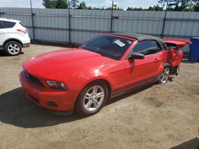 2011 Ford Mustang