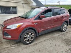 Carros salvage a la venta en subasta: 2014 Ford Escape SE