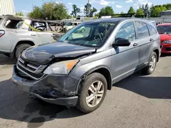 Salvage cars for sale from Copart Woodburn, OR: 2010 Honda CR-V EX