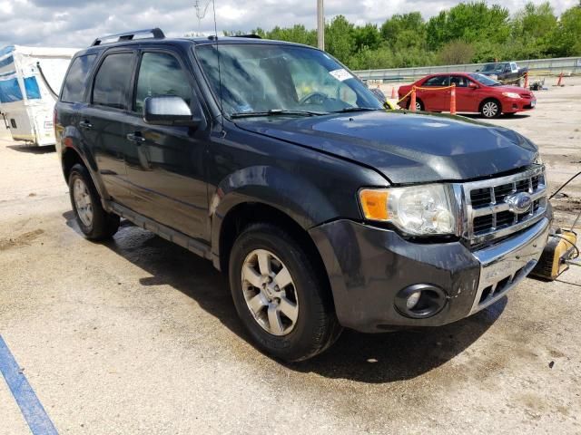 2009 Ford Escape Limited