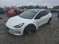 Salvage cars for sale at Baltimore, MD auction: 2025 Tesla Model 3