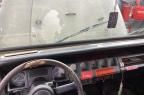 1991 Jeep Wrangler / YJ Sahara