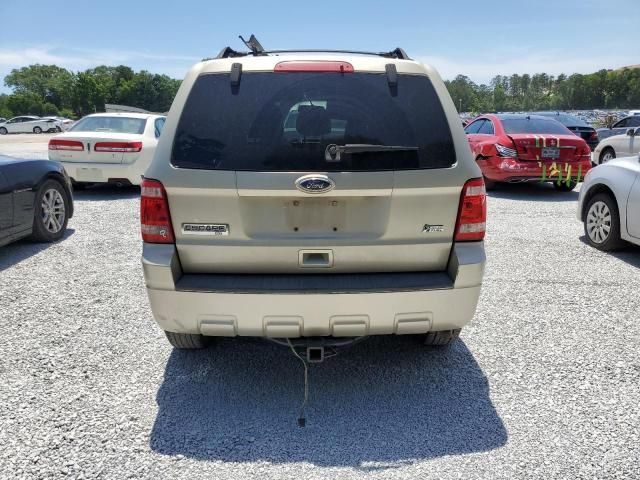 2010 Ford Escape XLT