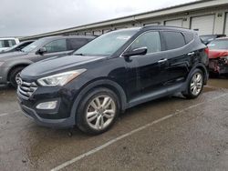 Salvage cars for sale from Copart Louisville, KY: 2013 Hyundai Santa FE Sport