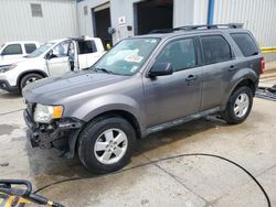 Salvage cars for sale from Copart New Orleans, LA: 2012 Ford Escape XLT