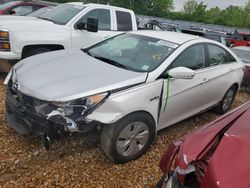 Salvage cars for sale at Bridgeton, MO auction: 2013 Hyundai Sonata Hybrid
