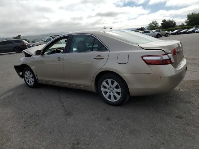 2009 Toyota Camry Hybrid