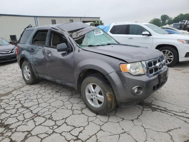 2010 Ford Escape XLT