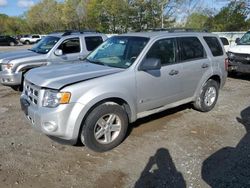 Salvage cars for sale at North Billerica, MA auction: 2008 Ford Escape Hybrid
