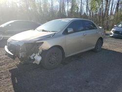 Salvage cars for sale at Bowmanville, ON auction: 2009 Toyota Corolla Base