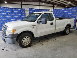 Vehiculos salvage en venta de Copart Harleyville, SC: 2010 Ford F150