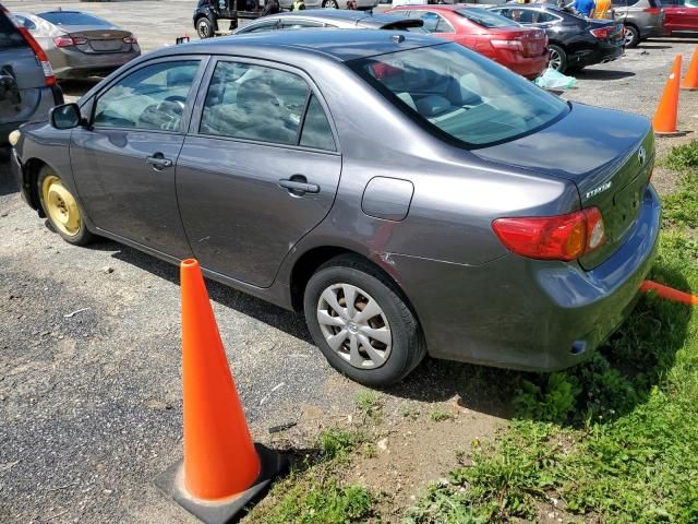 2010 Toyota Corolla Base