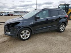 Salvage cars for sale from Copart Nisku, AB: 2013 Ford Escape SE