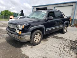 Salvage trucks for sale at Chambersburg, PA auction: 2003 Chevrolet Avalanche K1500