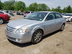 Toyota salvage cars for sale: 2005 Toyota Avalon XL