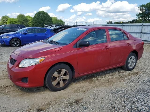 2010 Toyota Corolla Base