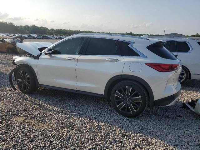 2021 Infiniti QX50 Luxe