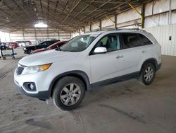 Salvage cars for sale at Phoenix, AZ auction: 2011 KIA Sorento Base