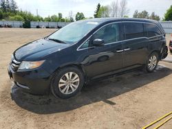 Salvage cars for sale at Bowmanville, ON auction: 2012 Honda Odyssey EXL