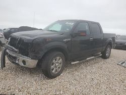 Salvage cars for sale at Temple, TX auction: 2014 Ford F150 Supercrew