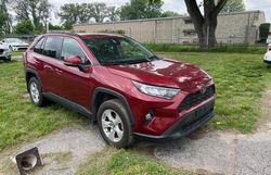 Vehiculos salvage en venta de Copart Kansas City, KS: 2019 Toyota Rav4 XLE