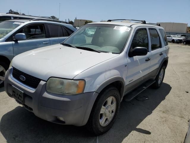 2002 Ford Escape XLT