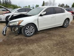Salvage cars for sale from Copart Bowmanville, ON: 2011 Honda Accord EXL