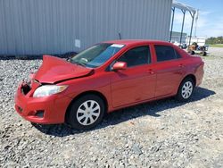 Salvage cars for sale from Copart Tifton, GA: 2010 Toyota Corolla Base