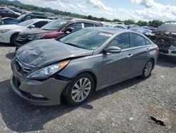 Salvage Cars with No Bids Yet For Sale at auction: 2014 Hyundai Sonata SE