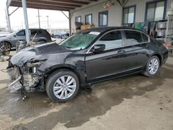 Salvage cars for sale from Copart Los Angeles, CA: 2011 Honda Accord EXL