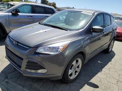 Salvage cars for sale from Copart Martinez, CA: 2014 Ford Escape SE