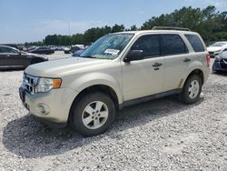 Salvage cars for sale from Copart Houston, TX: 2012 Ford Escape XLT