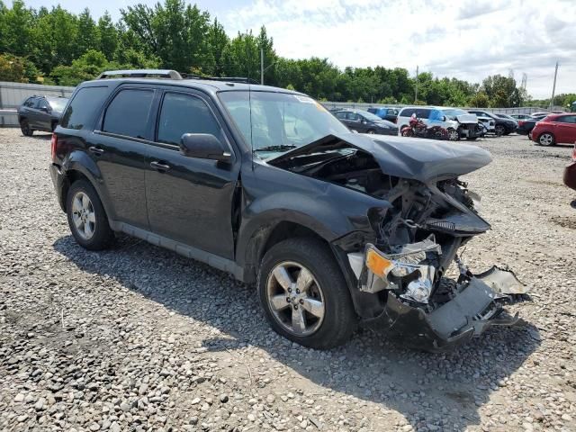 2011 Ford Escape Limited