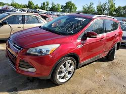 Salvage cars for sale at Bridgeton, MO auction: 2013 Ford Escape Titanium