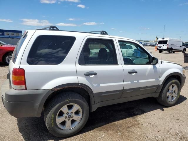 2007 Ford Escape XLT