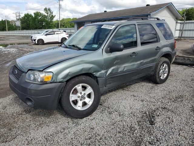 2007 Ford Escape XLT