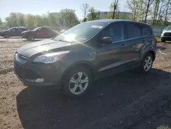 Salvage cars for sale at Central Square, NY auction: 2015 Ford Escape SE