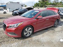 Salvage cars for sale from Copart Opa Locka, FL: 2016 Hyundai Sonata Hybrid