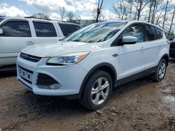 Salvage cars for sale from Copart Central Square, NY: 2014 Ford Escape SE