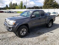 Salvage cars for sale at Graham, WA auction: 2010 Toyota Tacoma Access Cab