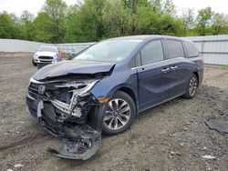 Salvage cars for sale at Windsor, NJ auction: 2021 Honda Odyssey EXL