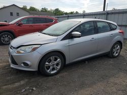 2013 Ford Focus SE for sale in York Haven, PA