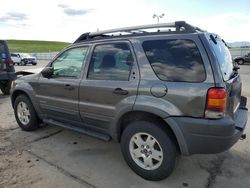 Ford salvage cars for sale: 2002 Ford Escape XLT