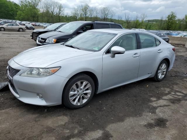 2013 Lexus ES 300H